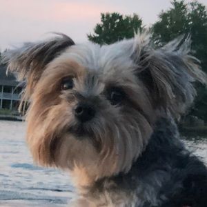 Meet your Posher, Alex